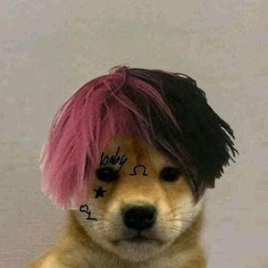 Meet your Posher, Ali